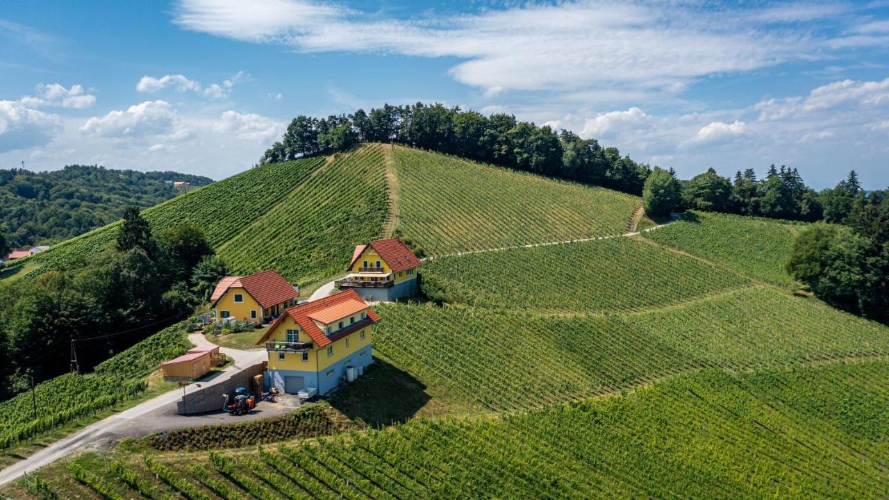 Weingut-Gaestehaus Birnstingl Гамліц Екстер'єр фото