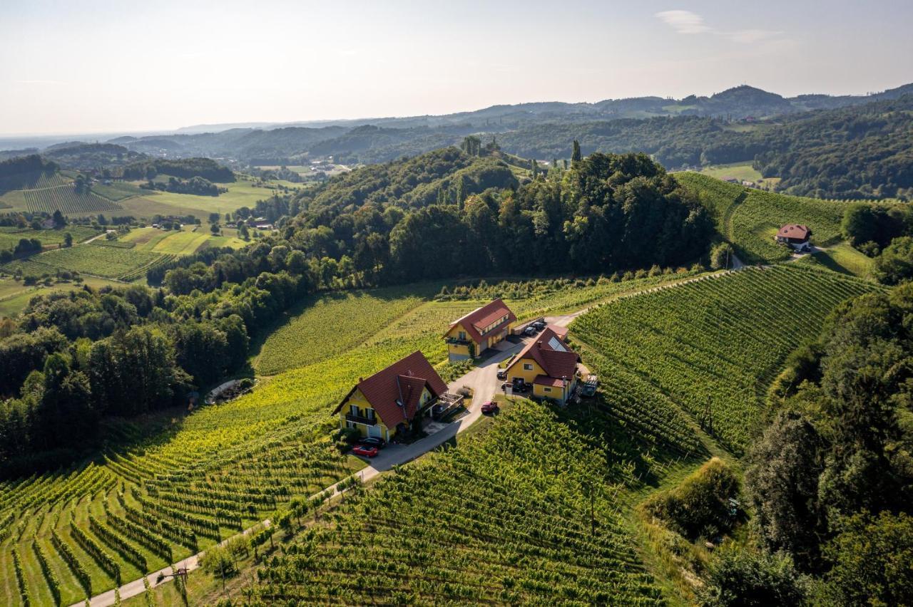 Weingut-Gaestehaus Birnstingl Гамліц Екстер'єр фото